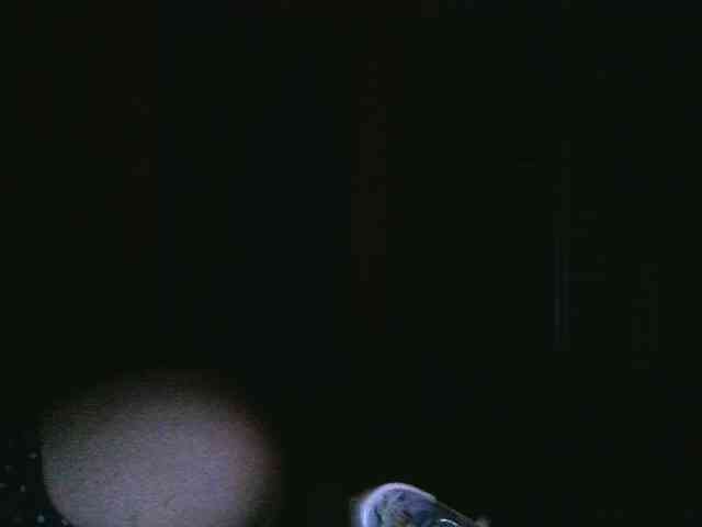 Foxyfoksssss webcam