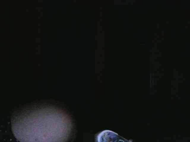 Foxyfoksssss webcam