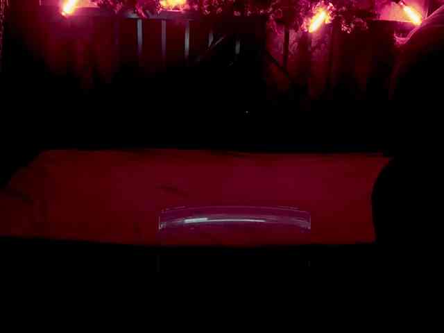 TinkerrBelll TinkerrBelll