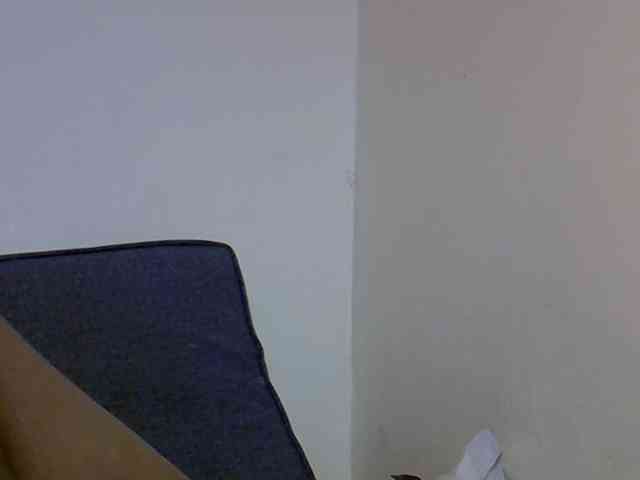 Babygirl5csd Babygirl5csd