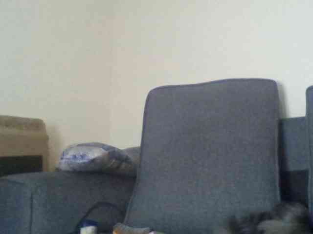 Babygirl5csd webcam