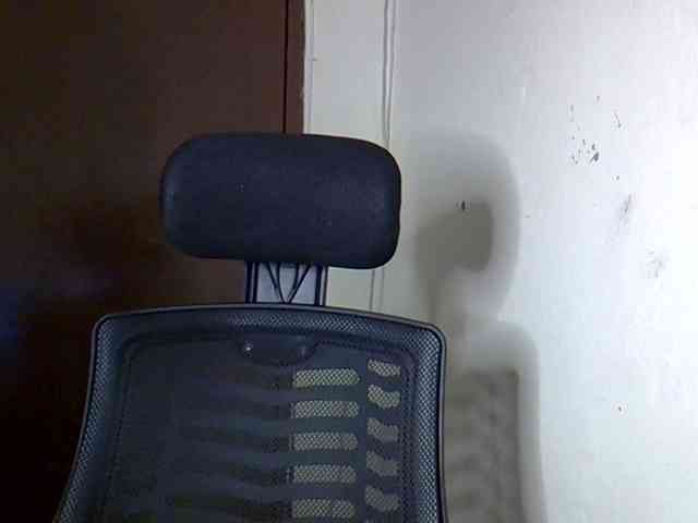 Babygirl5csd Babygirl5csd