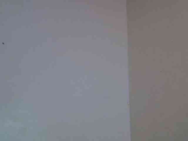 Babygirl5csd Babygirl5csd