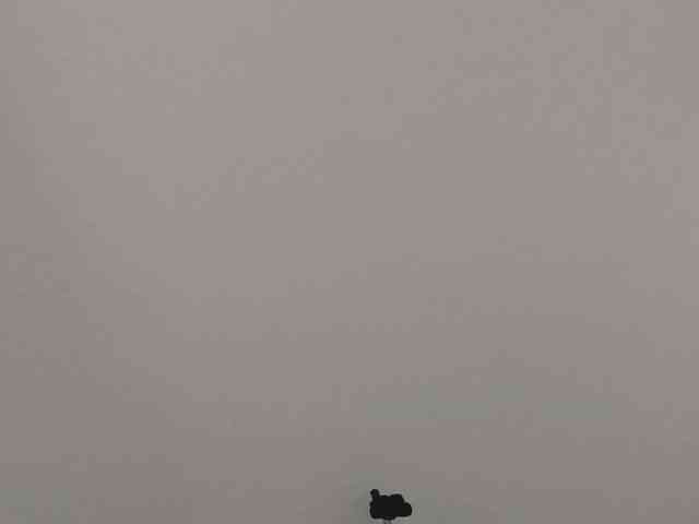 ReneYolker webcam