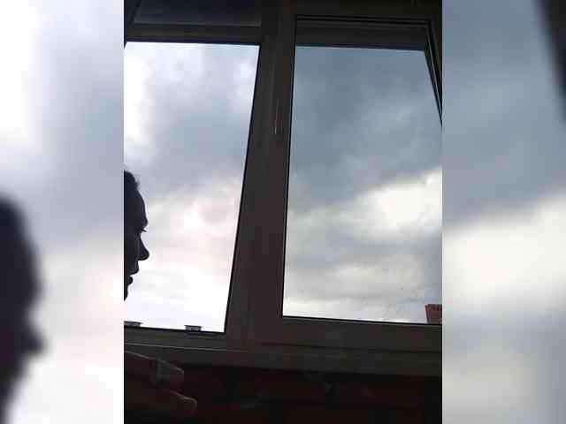 VeselayaDura webcam