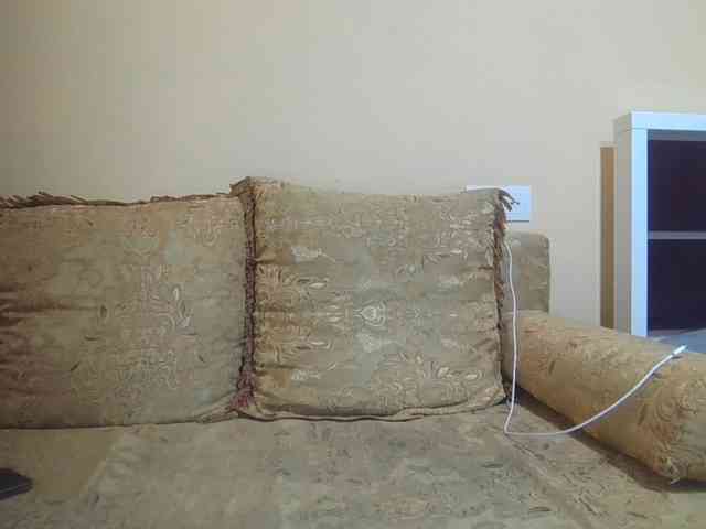 Annl webcam