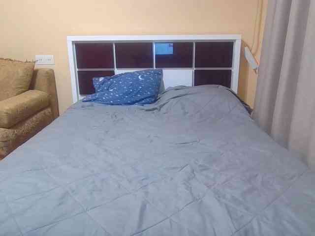 Annl webcam