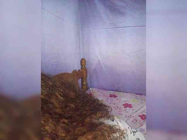 FANNIE22 webcam