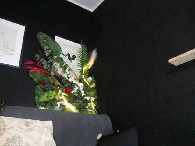 IngAIden webcam