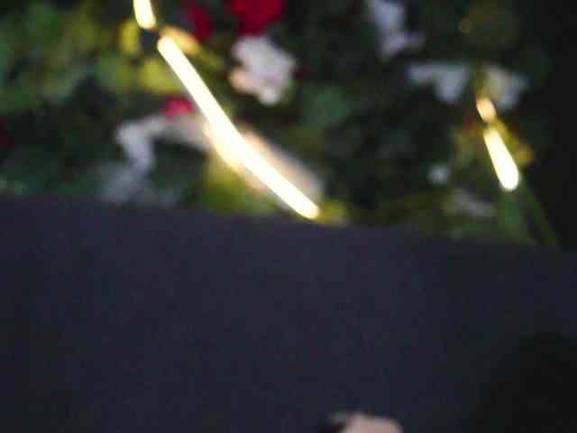IngAIden webcam