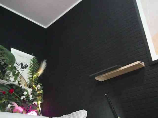 IngAIden webcam