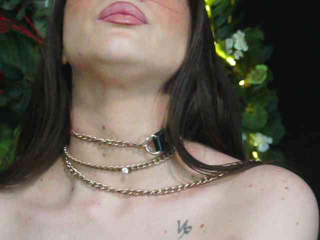 IngAIden webcam