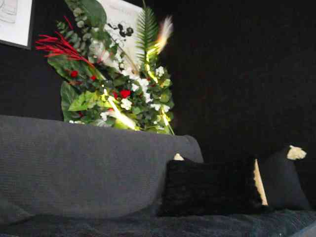 IngAIden webcam