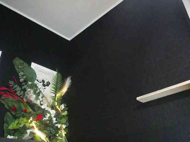 IngAIden webcam