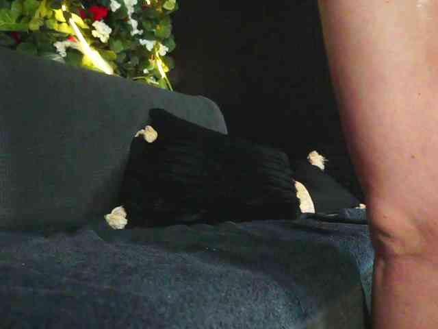 IngAIden webcam