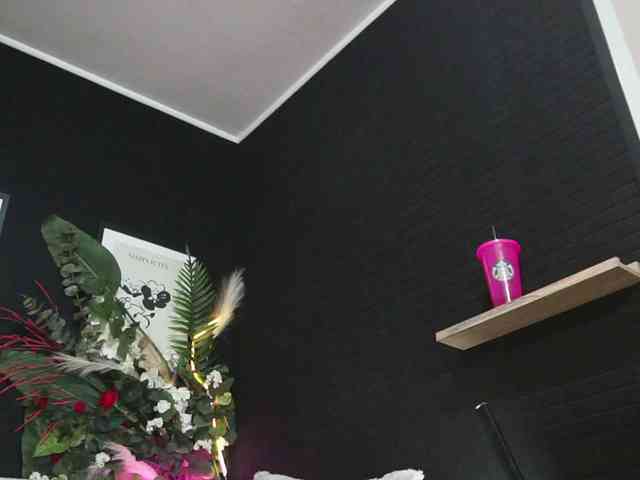 IngAIden webcam