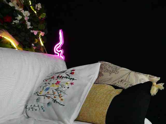 IngAIden webcam