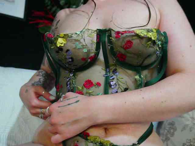 IngAIden webcam