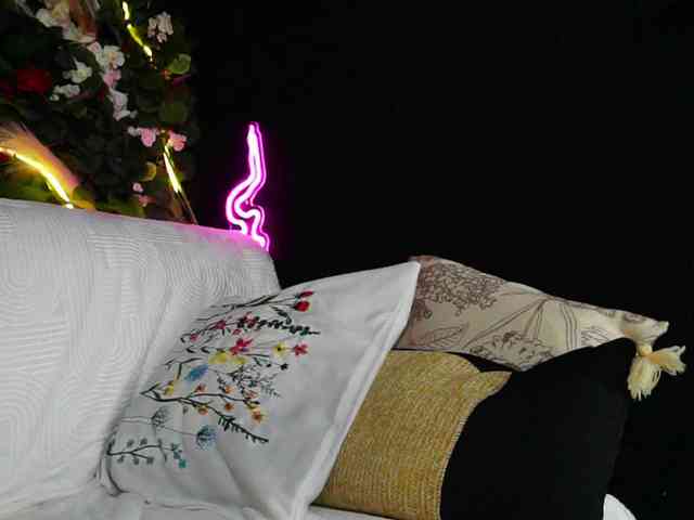 IngAIden webcam