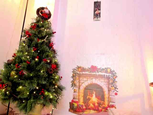 mystic-carito mystic-carito