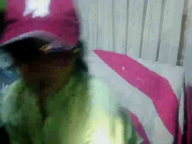 arabianZ Live Webcam on BongaCams