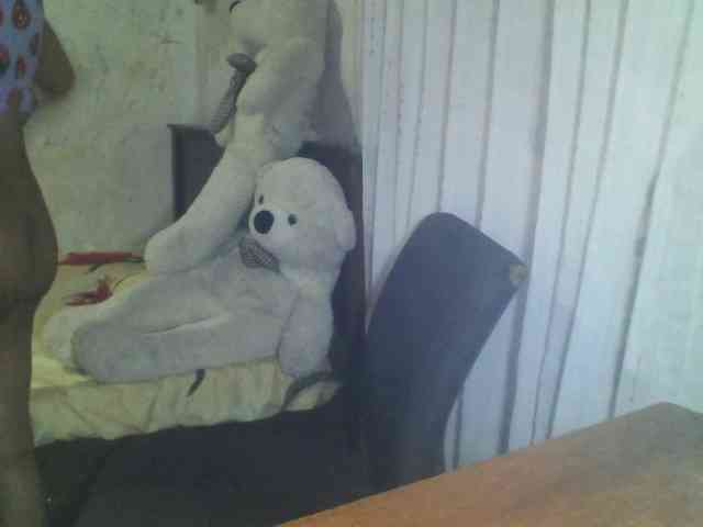 arabianZ webcam