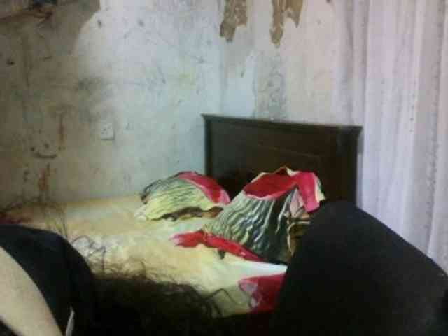 arabianZ webcam