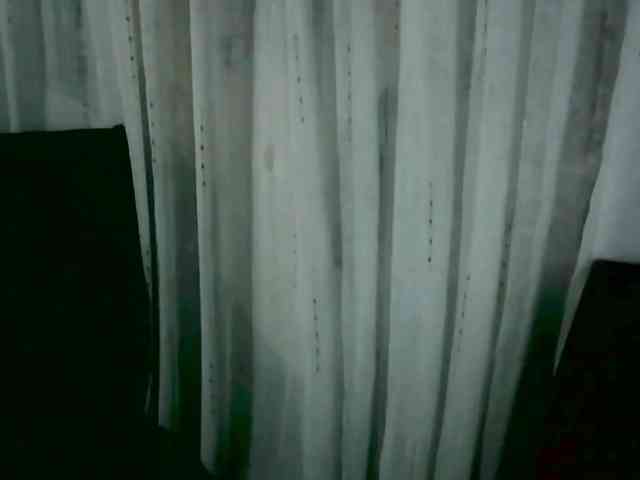 arabianZ webcam