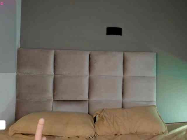 Kendall-19 webcam