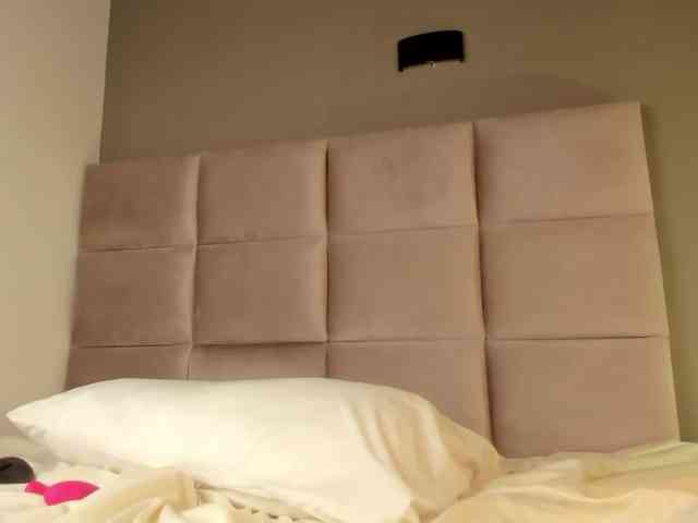 Kendall-19 webcam