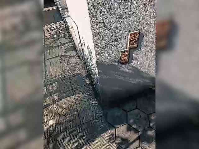 Snek69