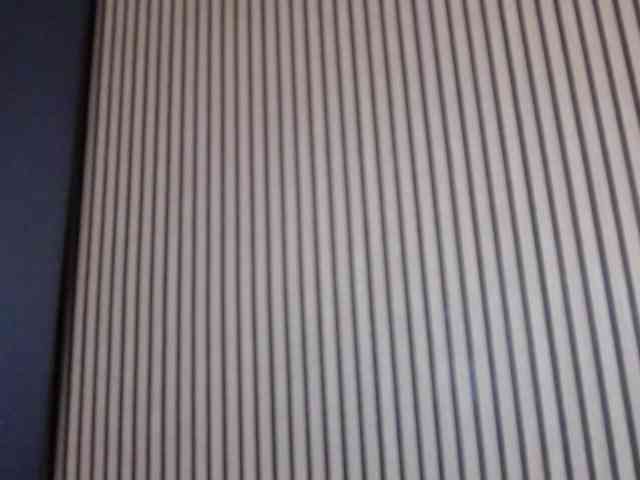 AbbieRaye webcam
