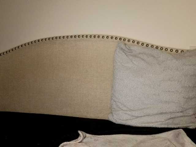 Xoxcat from BongaCams is Freechat