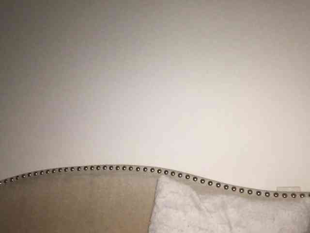 Xoxcat webcam