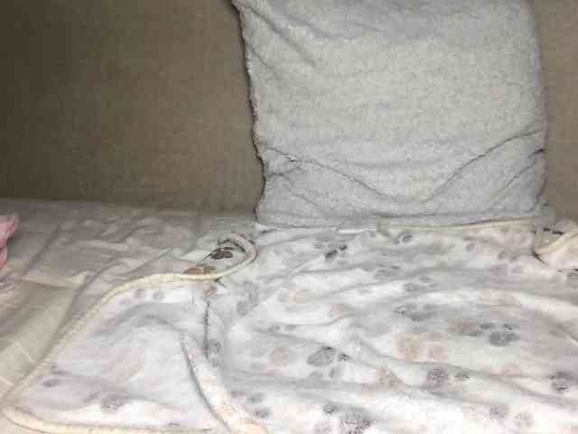 Xoxcat webcam