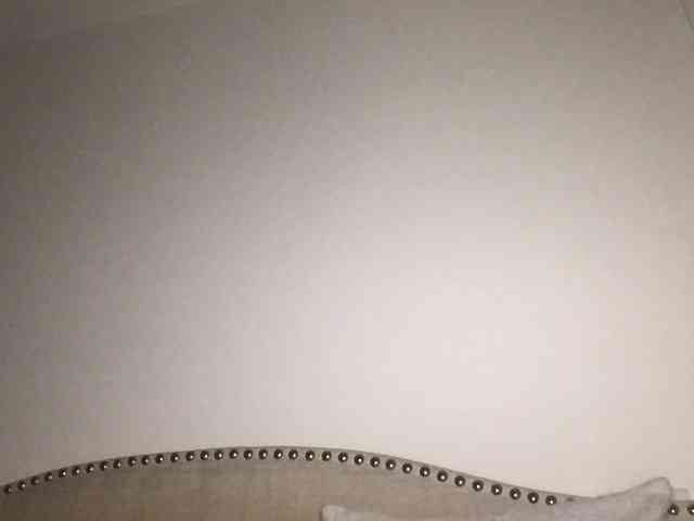 Xoxcat webcam
