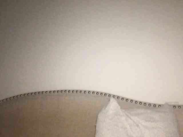 Xoxcat webcam