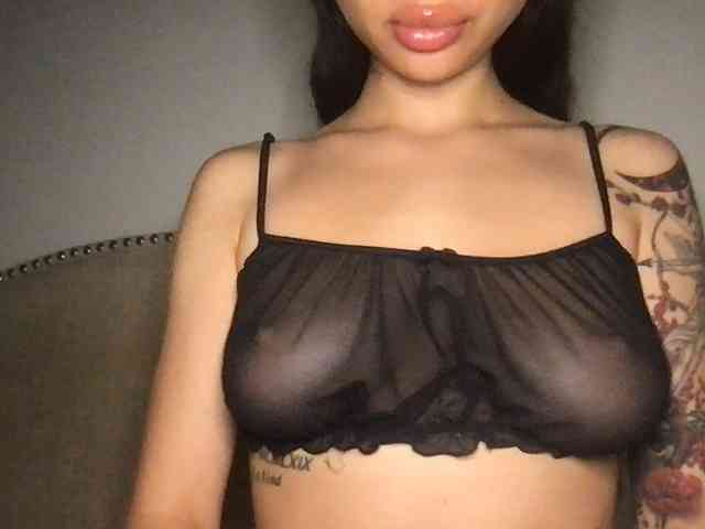 Xoxcat webcam
