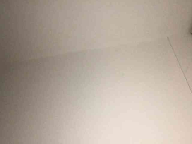 Xoxcat webcam