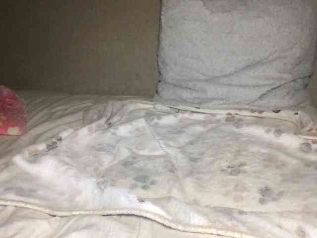 Xoxcat webcam