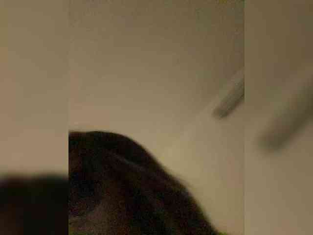 JULIE21 webcam