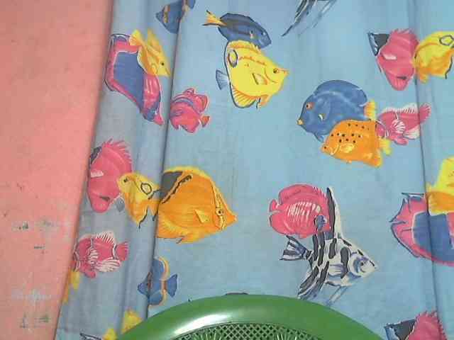 Marceliahh webcam