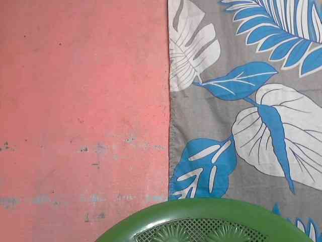 Marceliahh webcam