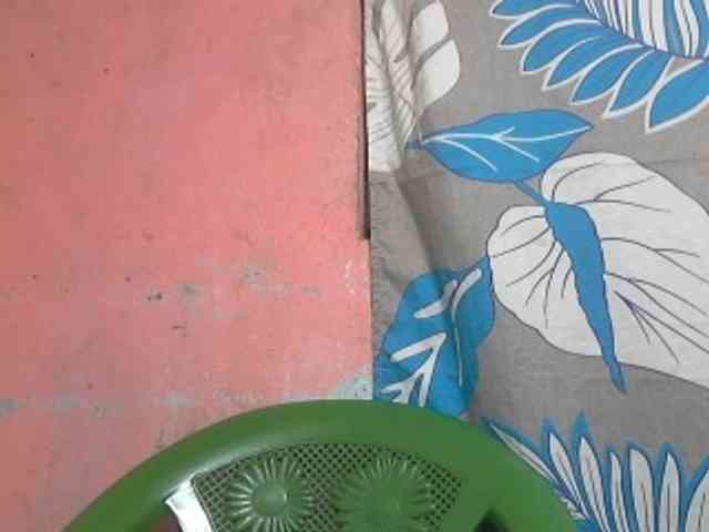 Marceliahh webcam