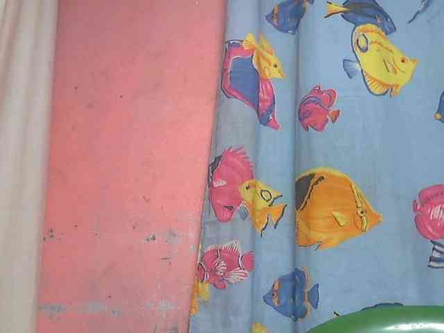 Marceliahh webcam