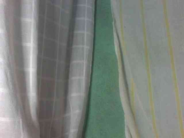 Laurencia12 webcam