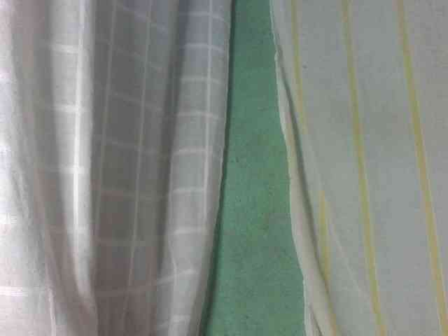 Laurencia12 webcam