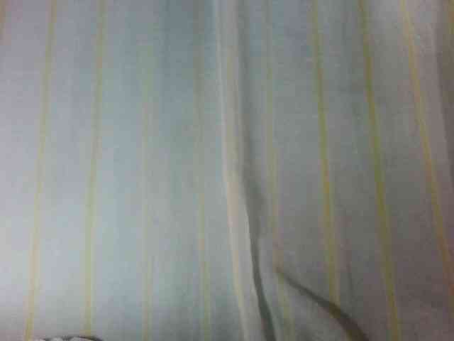 Laurencia12 webcam