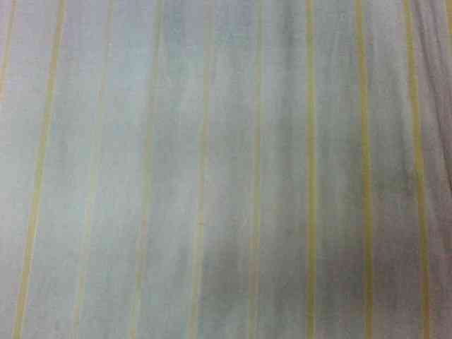 Laurencia12 webcam