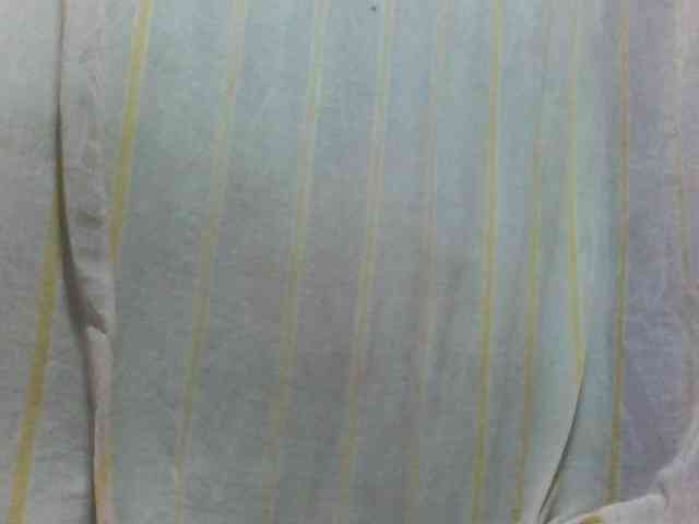 Laurencia12 webcam